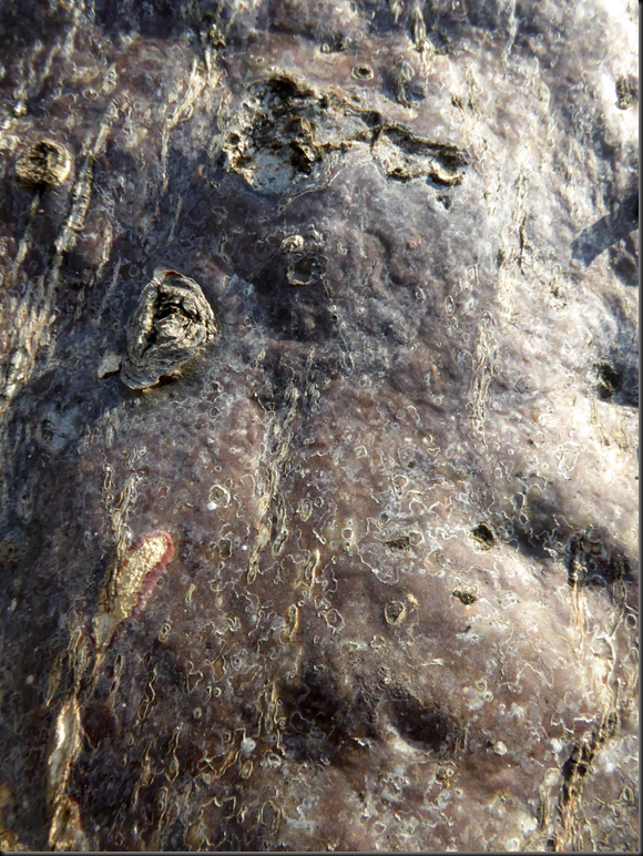 image_thumb2