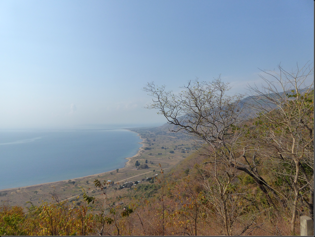 image_thumb4